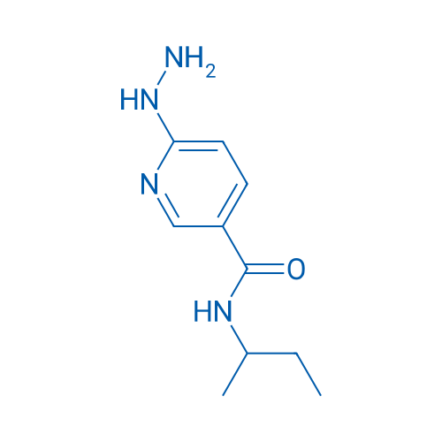 N-(sec-Butyl)-6-hydrazinylnicotinamide 10g