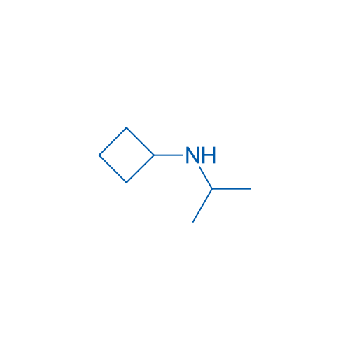 N-(propan-2-yl)cyclobutanamine 100mg