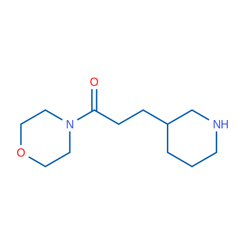 1-Morpholino-3-(piperidin-3-yl)propan-1-one 1g
