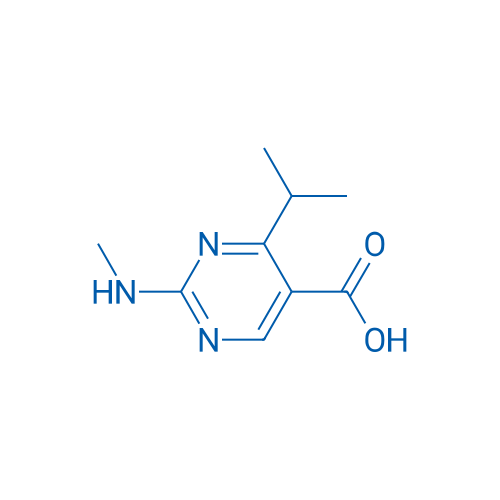 2-(Methylamino)-4-(propan-2-yl)pyrimidine-5-carboxylic acid 1g