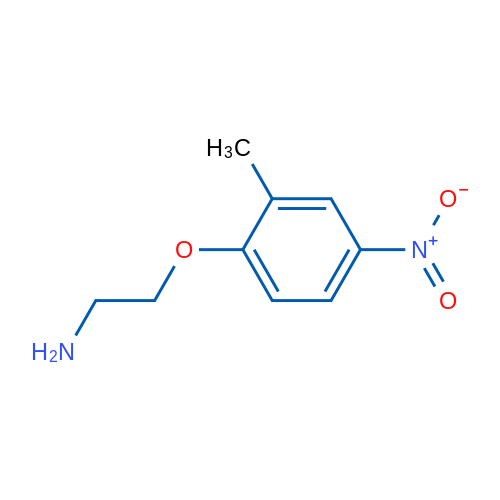 2-(2-Methyl-4-nitrophenoxy)ethanamine 1g