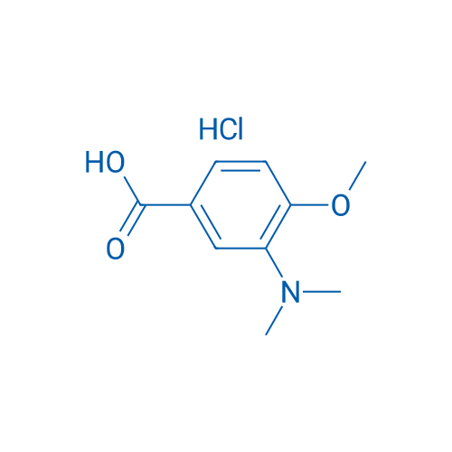 3-(Dimethylamino)-4-methoxybenzoic acid hydrochloride 250mg