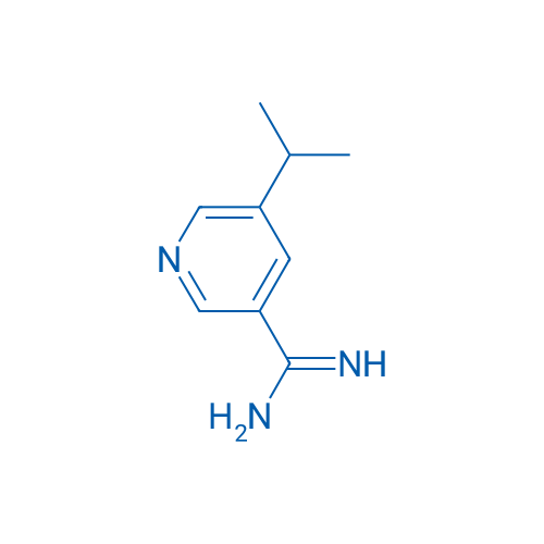 5-Isopropylnicotinimidamide 1g