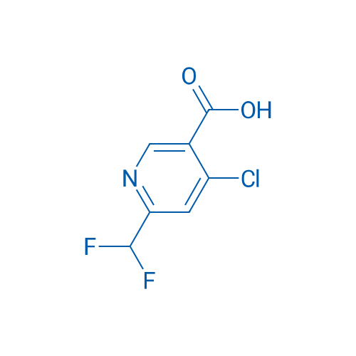 4-Chloro-6-(difluoromethyl)nicotinic acid 250mg