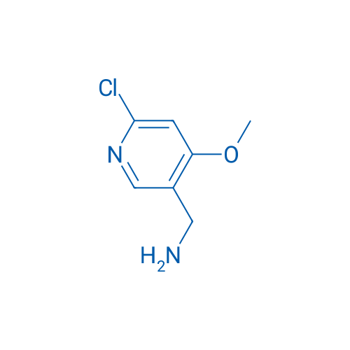 (6-Chloro-4-methoxypyridin-3-yl)methanamine 1g