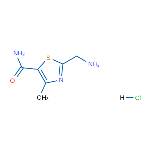 2-(Aminomethyl)-4-methyl-1,3-thiazole-5-carboxamide hydrochloride 1g
