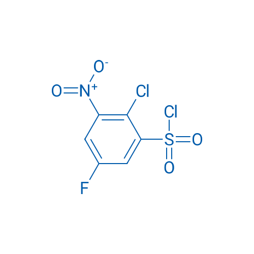 2-Chloro-5-fluoro-3-nitrobenzene-1-sulfonyl chloride 1g
