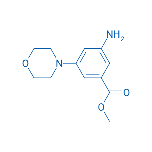 Methyl 3-amino-5-morpholinobenzoate 250mg