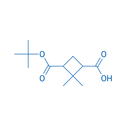 3-(tert-Butoxycarbonyl)-2,2-dimethylcyclobutane-1-carboxylic acid 5g