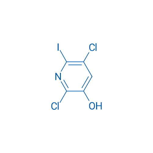 2,5-Dichloro-6-iodopyridin-3-ol 1g