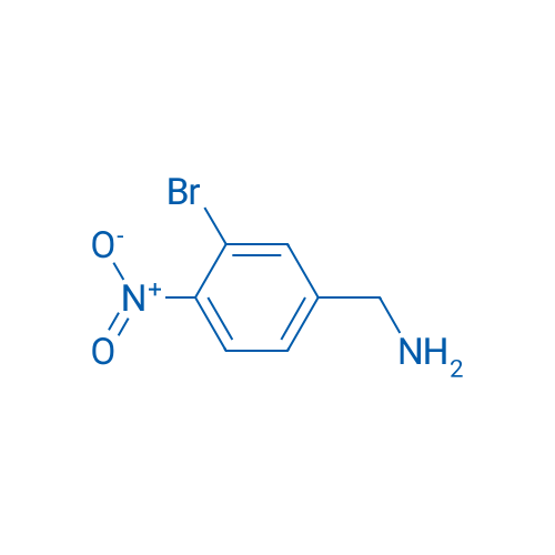 (3-Bromo-4-nitrophenyl)methanamine 1g