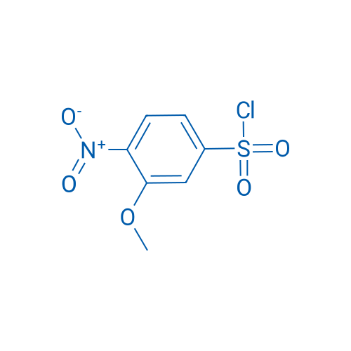 3-Methoxy-4-nitrobenzene-1-sulfonyl chloride 1g