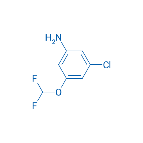 3-Chloro-5-(difluoromethoxy)aniline 250mg