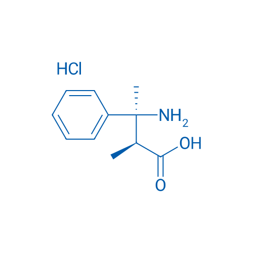 (2S,3S)-3-Amino-2-methyl-3-phenylbutanoic acid hydrochloride 1g