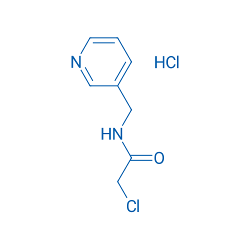 2-Chloro-N-(pyridin-3-ylmethyl)acetamide hydrochloride 1g