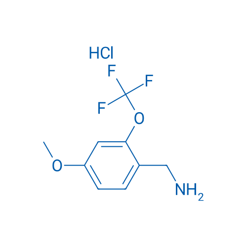 (4-Methoxy-2-(trifluoromethoxy)phenyl)methanamine hydrochloride 1g