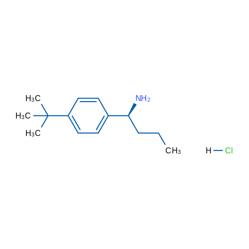 (S)-1-(4-(tert-Butyl)phenyl)butan-1-amine hydrochloride 1g