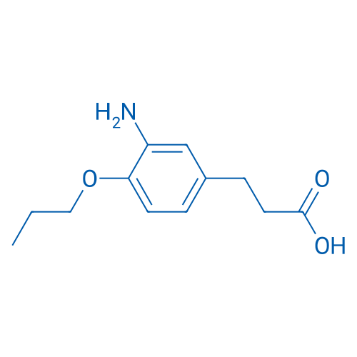 3-(3-Amino-4-propoxyphenyl)propanoic acid 1g