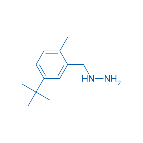 (5-(tert-Butyl)-2-methylbenzyl)hydrazine 1g