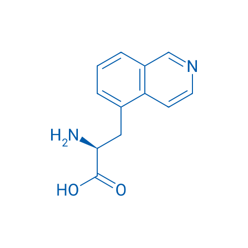 (2S)-2-Amino-3-(isoquinolin-5-yl)propanoic acid 1g
