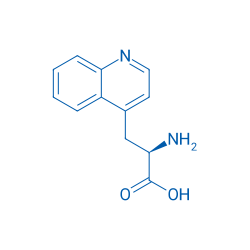 (R)-2-Amino-3-(quinolin-4-yl)propanoic acid 250mg