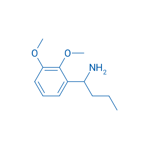 1-(2,3-Dimethoxyphenyl)butan-1-amine 1g