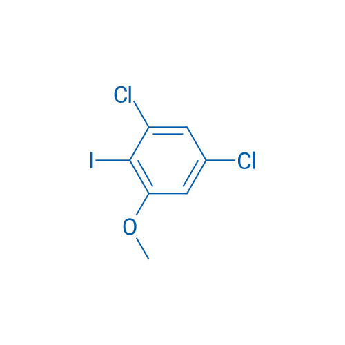 1,5-Dichloro-2-iodo-3-methoxybenzene 1g