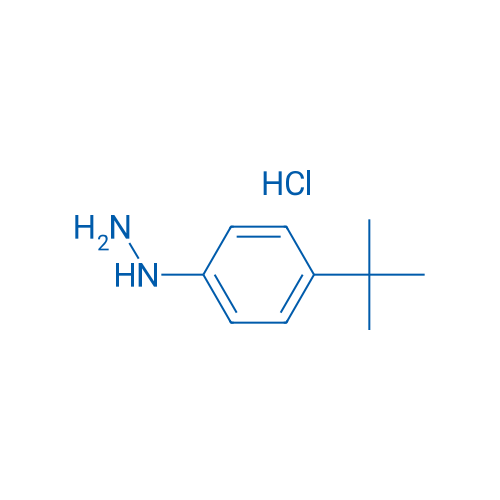 (4-(tert-Butyl)phenyl)hydrazine hydrochloride 10g