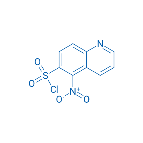 5-Nitroquinoline-6-sulfonyl chloride 1g