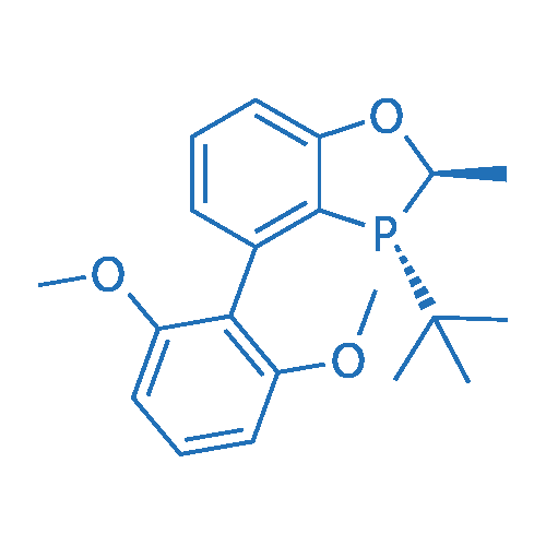 Rel-(2R,3R)-3-(tert-Butyl)-4-(2,6-dimethoxyphenyl)-2-methyl-2,3-dihydrobenzo[d][1,3]oxaphosphole 250mg