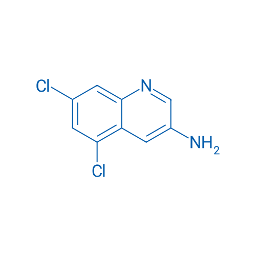 5,7-Dichloroquinolin-3-amine 1g