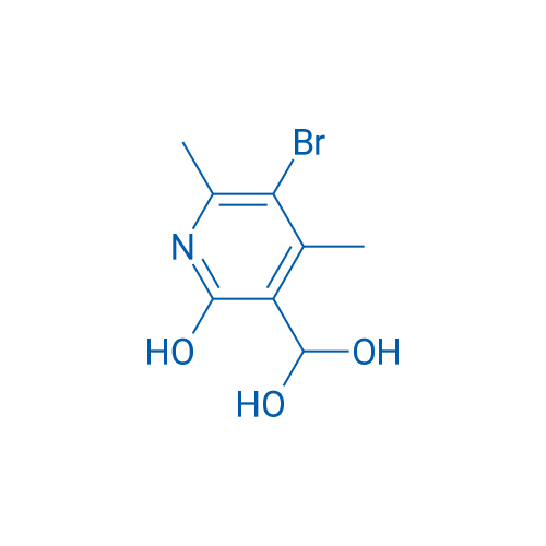 (5-Bromo-2-hydroxy-4,6-dimethylpyridin-3-yl)methanediol 1g