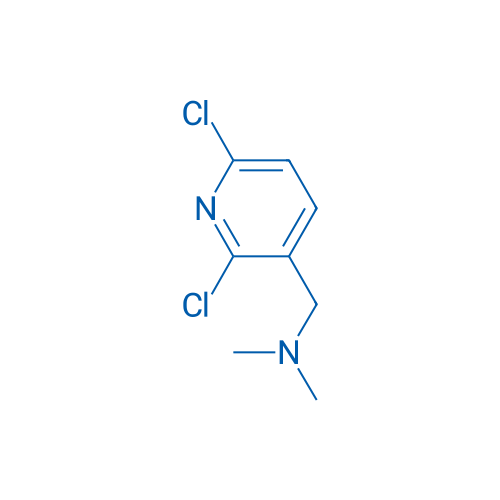 1-(2,6-Dichloropyridin-3-yl)-N,N-dimethylmethanamine 1g
