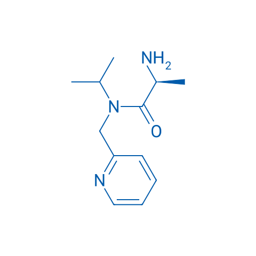 (S)-2-Amino-N-isopropyl-N-(pyridin-2-ylmethyl)propanamide 1g