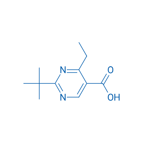 2-(tert-Butyl)-4-ethylpyrimidine-5-carboxylic acid 1g