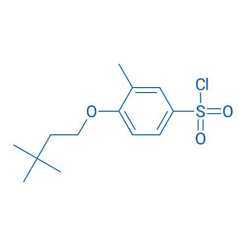 4-(3,3-DIMETHYLBUTOXY)-3-METHYLBENZENE-1-SULFONYL CHLORIDE 1g