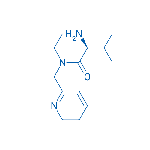 (S)-2-Amino-N-isopropyl-3-methyl-N-(pyridin-2-ylmethyl)butanamide 1g