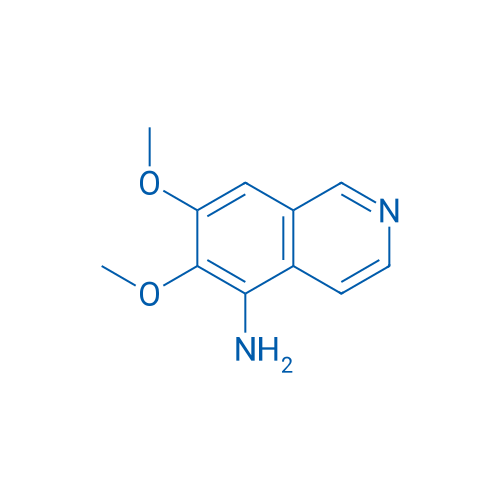 6,7-Dimethoxyisoquinolin-5-amine 1g