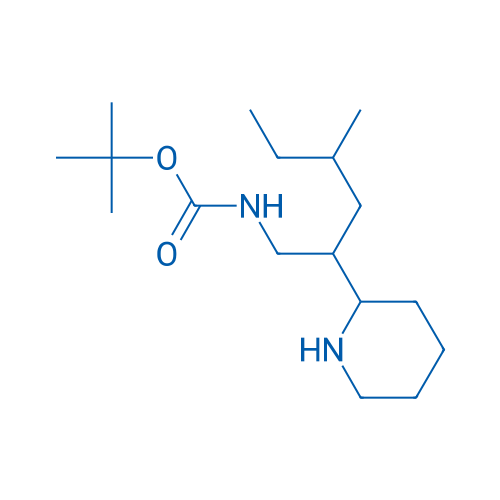 tert-Butyl N-[4-methyl-2-(piperidin-2-yl)hexyl]carbamate 1g
