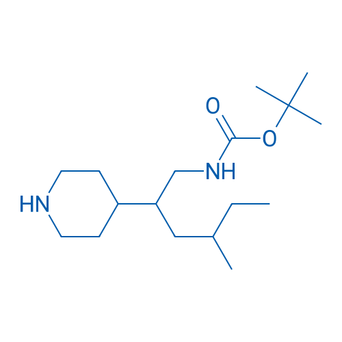 tert-Butyl N-[4-methyl-2-(piperidin-4-yl)hexyl]carbamate 1g