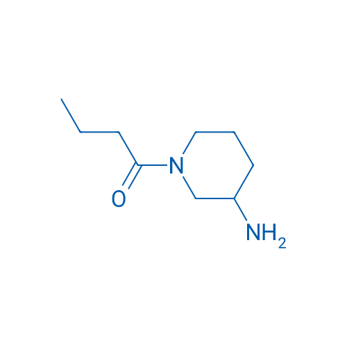 1-(3-Aminopiperidin-1-yl)butan-1-one 5g