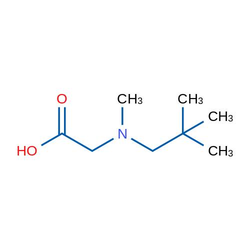 2-[(2,2-Dimethylpropyl)(methyl)amino]acetic acid 1g