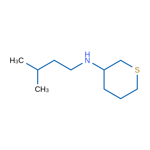 N-(3-Methylbutyl)thian-3-amine 5g