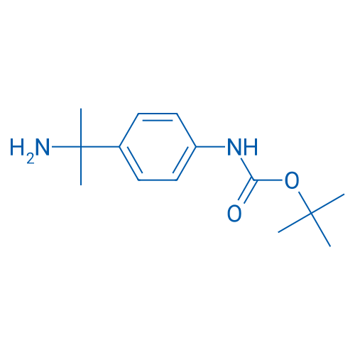 tert-Butyl n-[4-(2-aminopropan-2-yl)phenyl]carbamate 1g