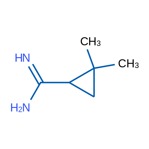 2,2-Dimethylcyclopropane-1-carboximidamide 1g