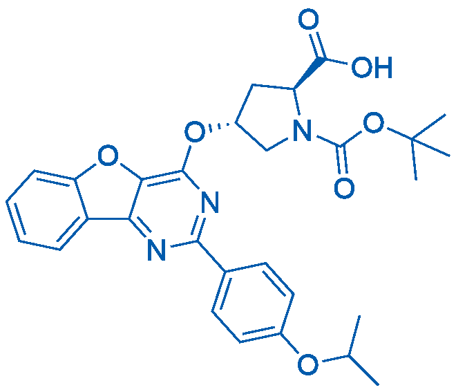 (2S,4R)-1-(tert-Butoxycarbonyl)-4-((2-(4-isopropoxyphenyl)benzofuro[3,2-d]pyrimidin-4-yl)oxy)pyrrolidine-2-carboxylic acid 1g