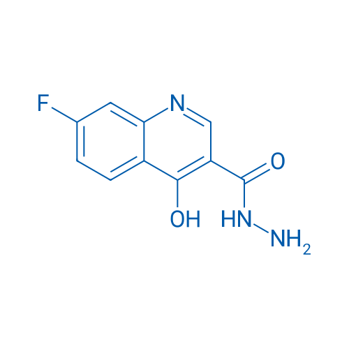 7-Fluoro-4-hydroxyquinoline-3-carbohydrazide 1g