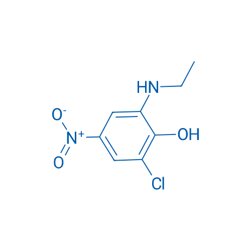 2-Chloro-6-(ethylamino)-4-nitrophenol 250mg