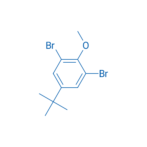 1,3-Dibromo-5-tert-butyl-2-methoxybenzene 25g