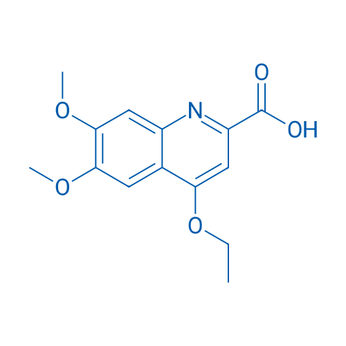 4-Ethoxy-6,7-dimethoxyquinoline-2-carboxylic acid 250mg